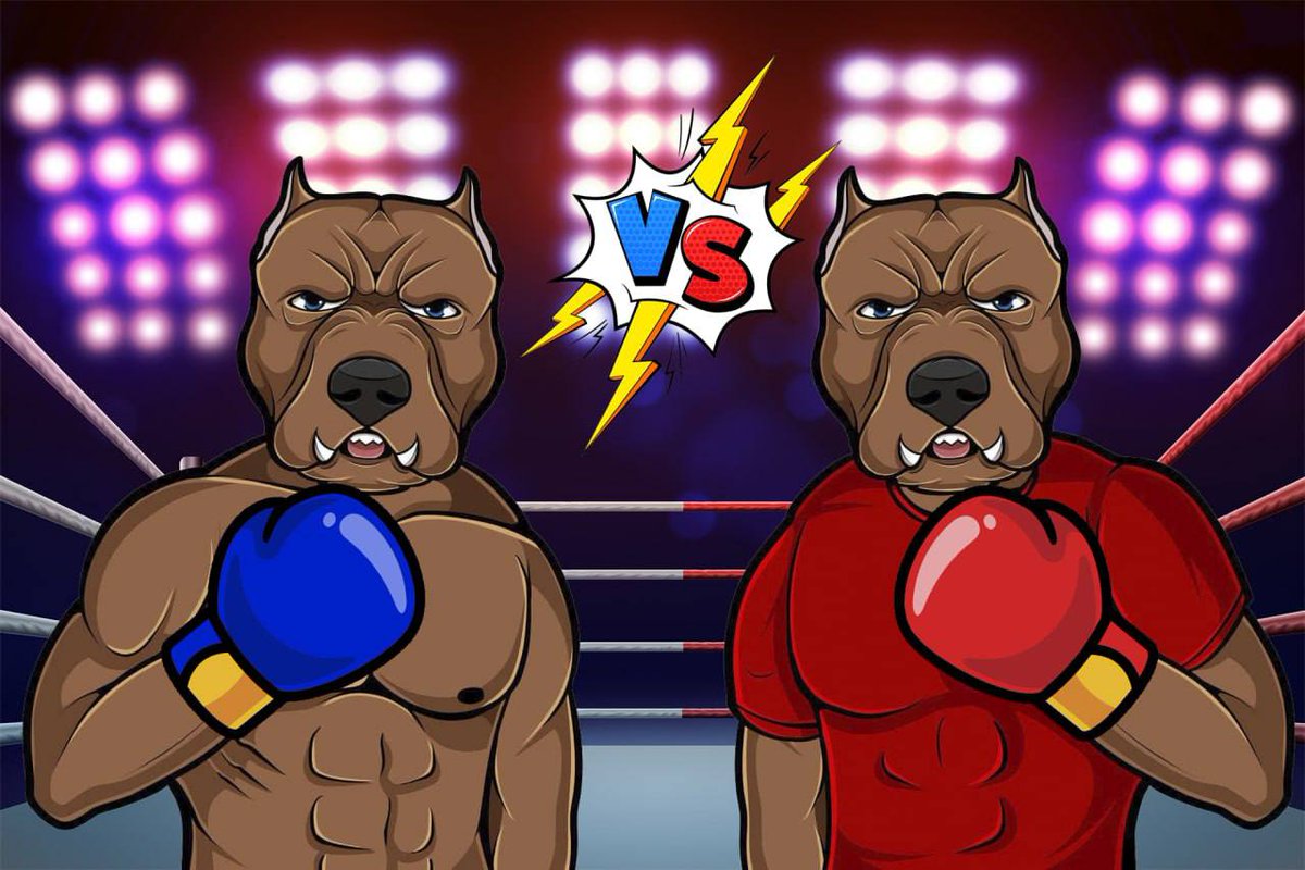 🚨VERY EARLY‼️

<a href="/DogClubToken/">MINT LIVE! Dog Club Token & NFT</a> NFTs

Play to Earn gaming system where the more you play the more you make. 

✅ Gameplay
✅ Small supply of 777 NFTs
✅ 0.5 SOL
✅ Backed by Dog Club Token

discord.gg/HTAtKkARUg

#NFTs #SolanaNFTs #Solana