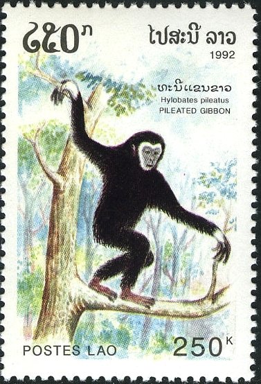 Ioglady's tweet photo. gibbon stamps from laos https://t.co/9jANEWmqMv