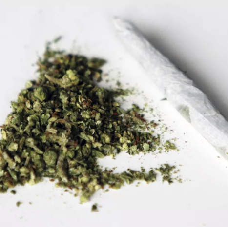 FarmersLabHQ's tweet photo. 25 Odd Facts About Marijuana

https://t.co/nLanzRaioC https://t.co/bhAvU7q8Rm