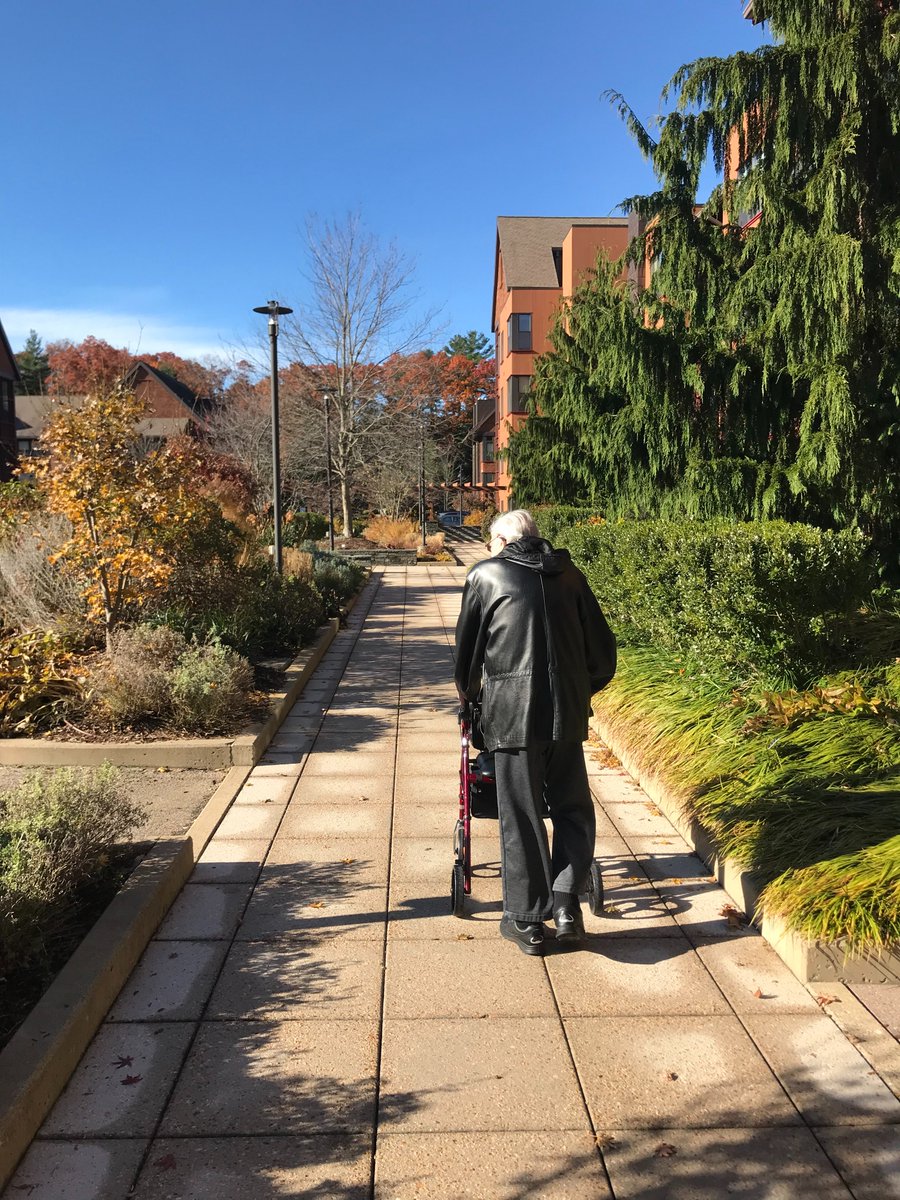 Noah Gordon, 1926 - 2021.  noahgordon.com