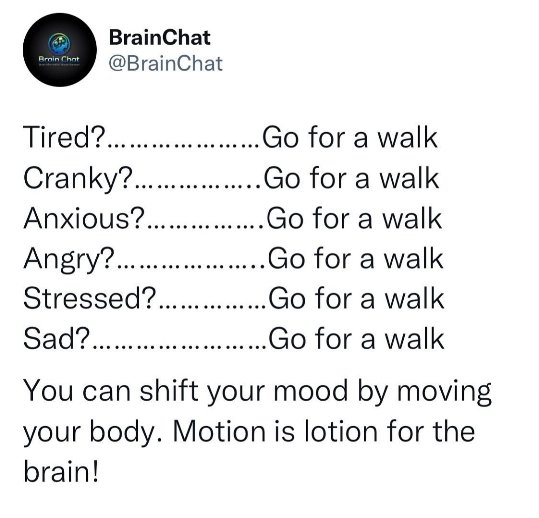 Meghan Stocker tweet media