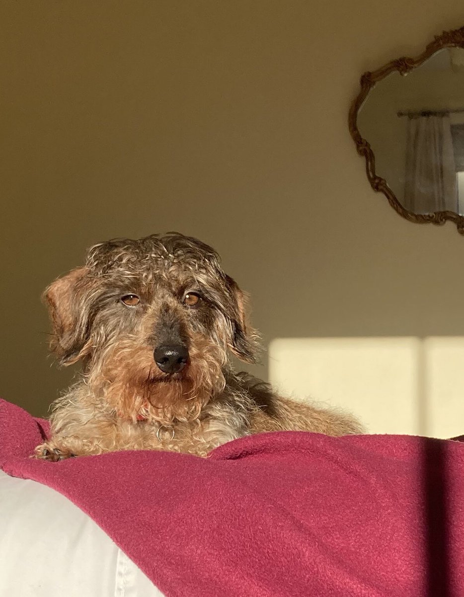 Working on my smoulder 🔥 (it was my dinner time but no dinner was being prepared) #sausagearmy