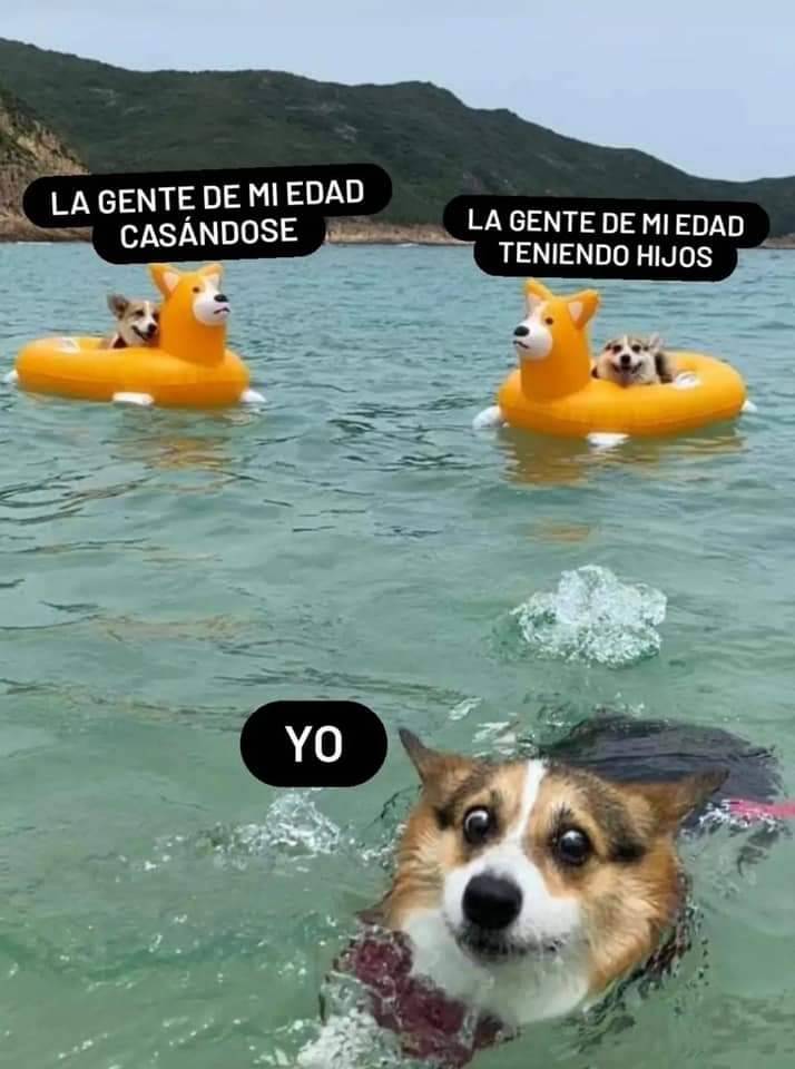 FraseSimple's tweet photo. Este meme me define 😜 https://t.co/MS4RCiqqrk