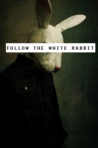 The world is in upheaval.

The plant medicine ayahuasca gave me insights into how to navigate the coming storm.

Are YOU ready?

// THREAD //