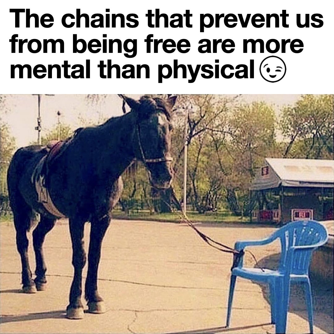 Free your mental chains and soar!

#motivation #escapethechains #positivity