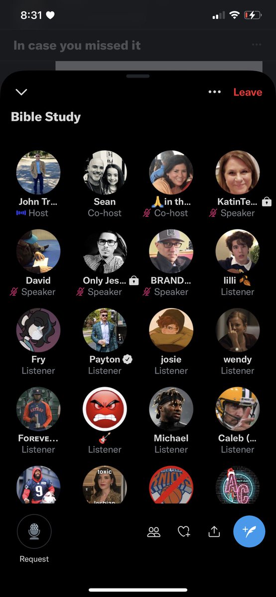 lilli! tweet media