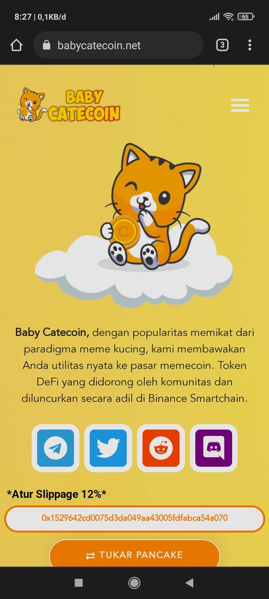 Baby catecoin $BABYCATE salah satu projek yg lengkap (nft, gaming, wallet, swap &amp; akan listing di cex) Mc sekarang masih $2,2m $DYOR $NFA