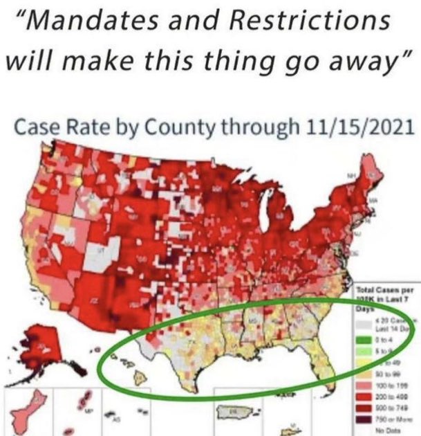 goldstocktrades's tweet image. Freedom wins! #makeamericalikeflorida