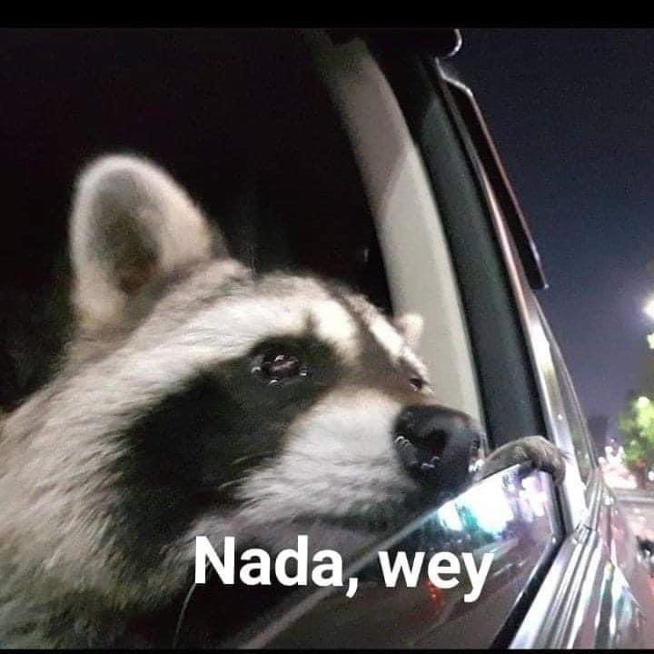 corridosybandas's tweet photo. – Mi compa: ¿qué tienes?

– Yo todo alcoholizado y apunto de llorar: https://t.co/LjtB1NcbFV