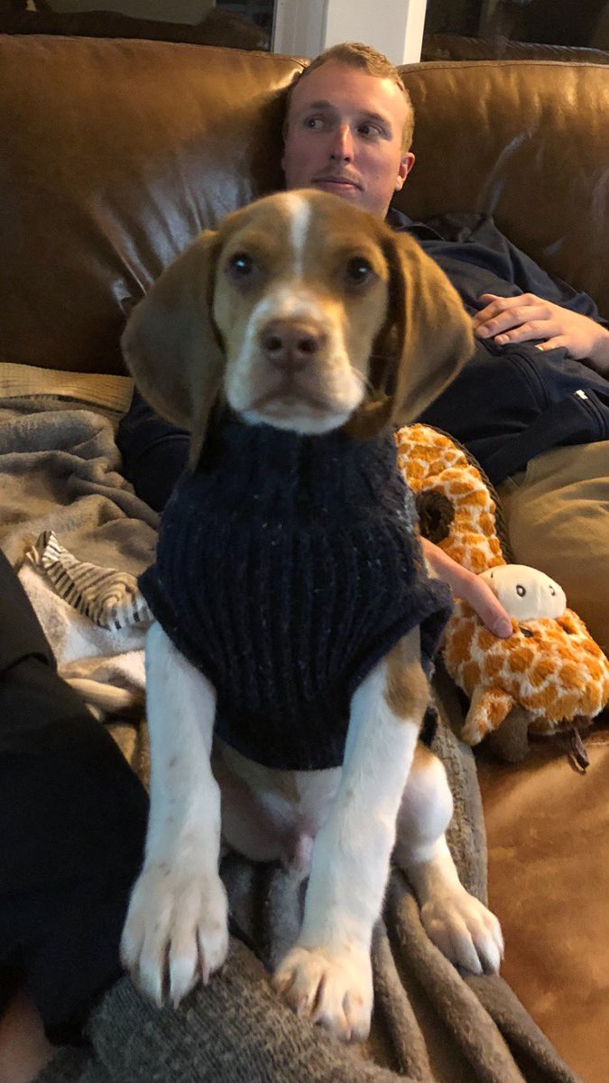 kellyrocks354's tweet photo. Why does Hank’s new sweater make him look like an English grandfather? https://t.co/SsG8D8B9rJ