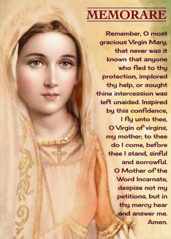 SarahRamos33's tweet photo. Such a powerful prayer. For anyone struggling, hurt, sad, depressed. Say this prayer from the heart. It does not fail. ✝️❤️ https://t.co/uD6WA97fPl