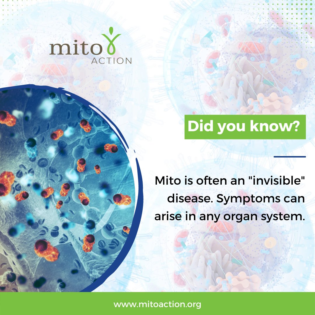 MitoAction's tweet photo. Did you Know?
Mito is often an "invisible" disease. Symptoms can arise in any organ system.
Check out https://t.co/4jPDYPlcpt for more information and useful resources on mitochondrial disease.
#mitoaction #mitoawareness #mitofacts #didyouknow #awareness #you #follow #care https://t.co/xrFh5j3Vzg