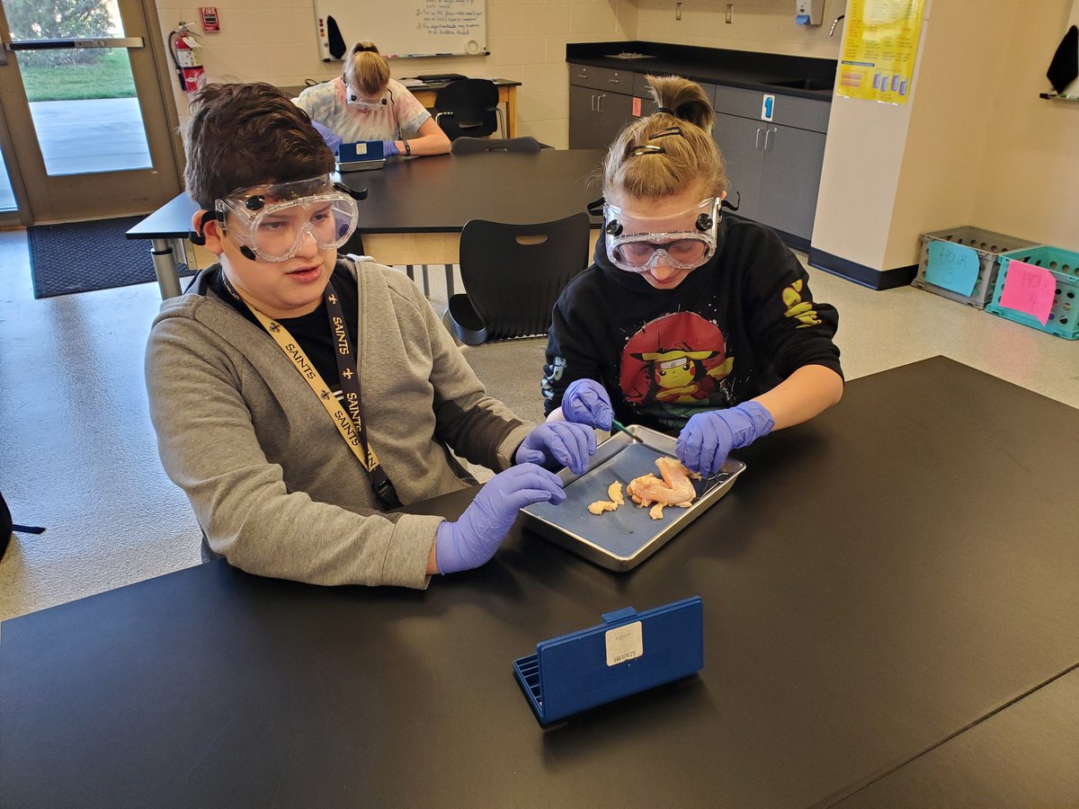 Dissected chicken wings today to finish our unit on comparative anatomy! <a href="/kbiebighauser/">Kelsie Biebighauser</a> <a href="/ACMS_Jaguars/">Central Middle</a> <a href="/AndoverSchools/">Andover USD 385</a>