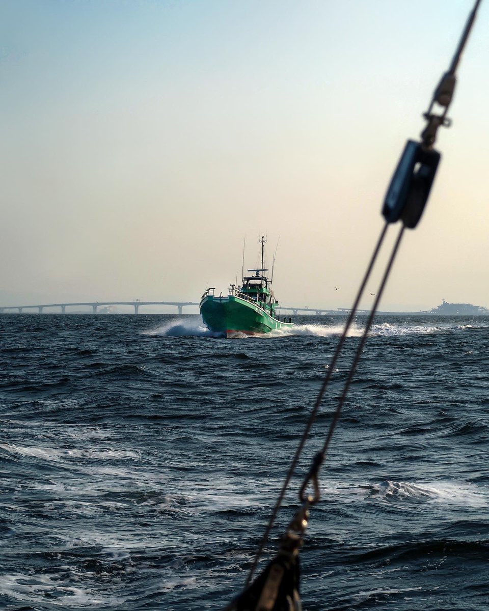 lka_am's tweet photo. High speed sailing to Aqua-Line with Team @AnaisSailing ⛵️

#sailing #sail #seaphotography #航海 #セイリング #セーリング #actionphotography #sailingjapan https://t.co/QiAJRf7dAF