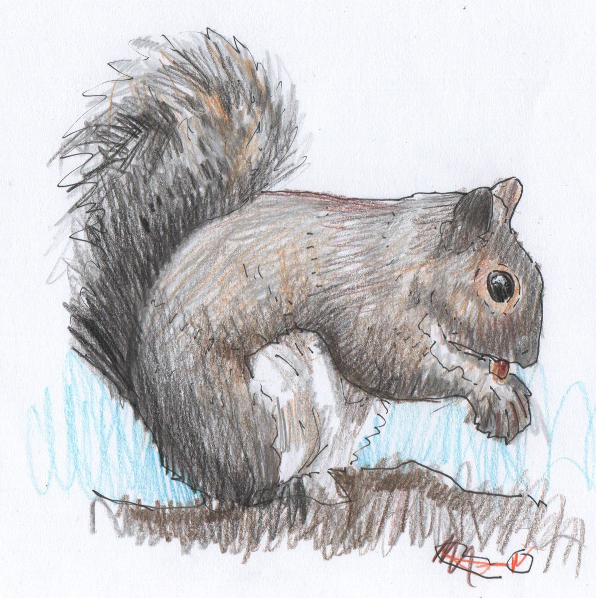 Rob Turner tweet media