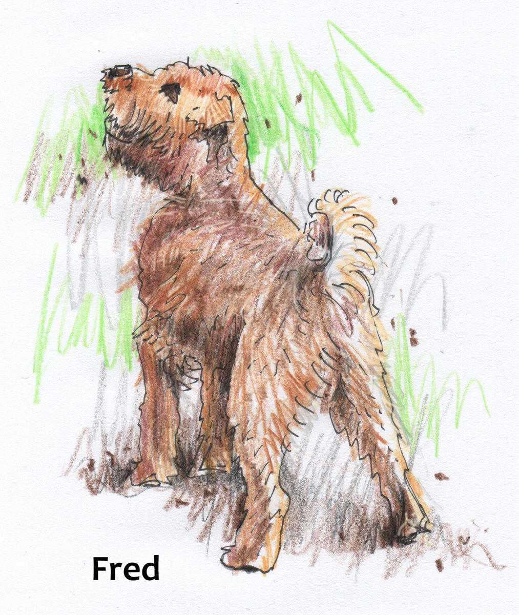 Rob Turner tweet media