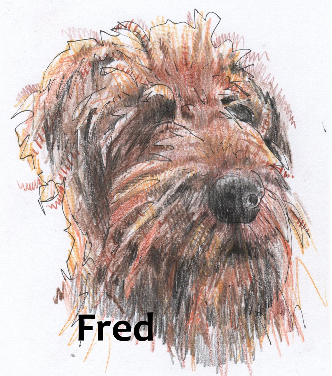 Rob Turner tweet media