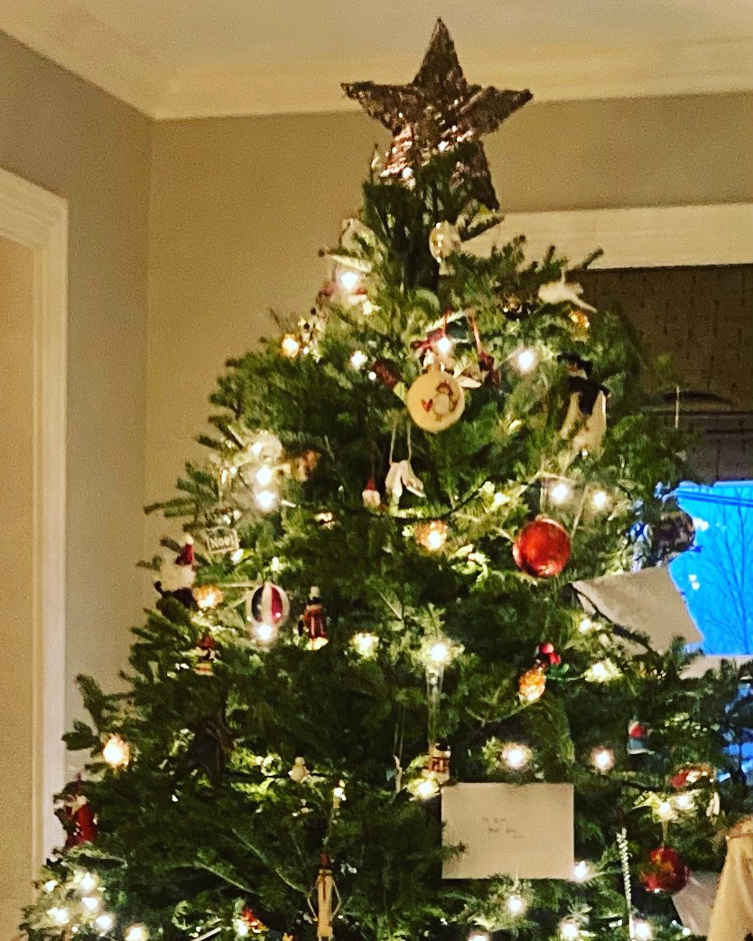 #Woodythetalkingchristmastree