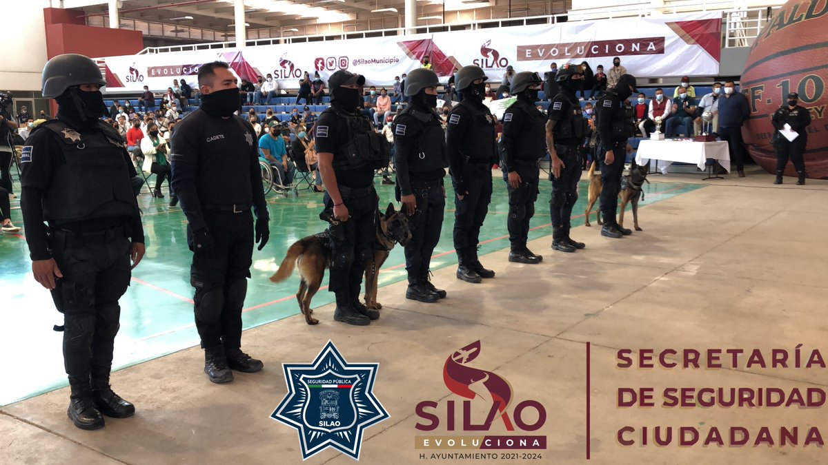 SilaoSP's tweet photo. 👉🏽 Por si no lo viste 👈🏽

🎊 En el marco de la conmemoración del CXI Aniversario de la Revolución 🇲🇽, este 20 de noviembre, la Secretaría de Seguridad Ciudadana, participó en el acto cívico deportivo con una exhibición del grupo K9 🐕.

#SilaoEvoluciona
#SilaoEvolucionaPorTi https://t.co/Ik0tN0WG6e