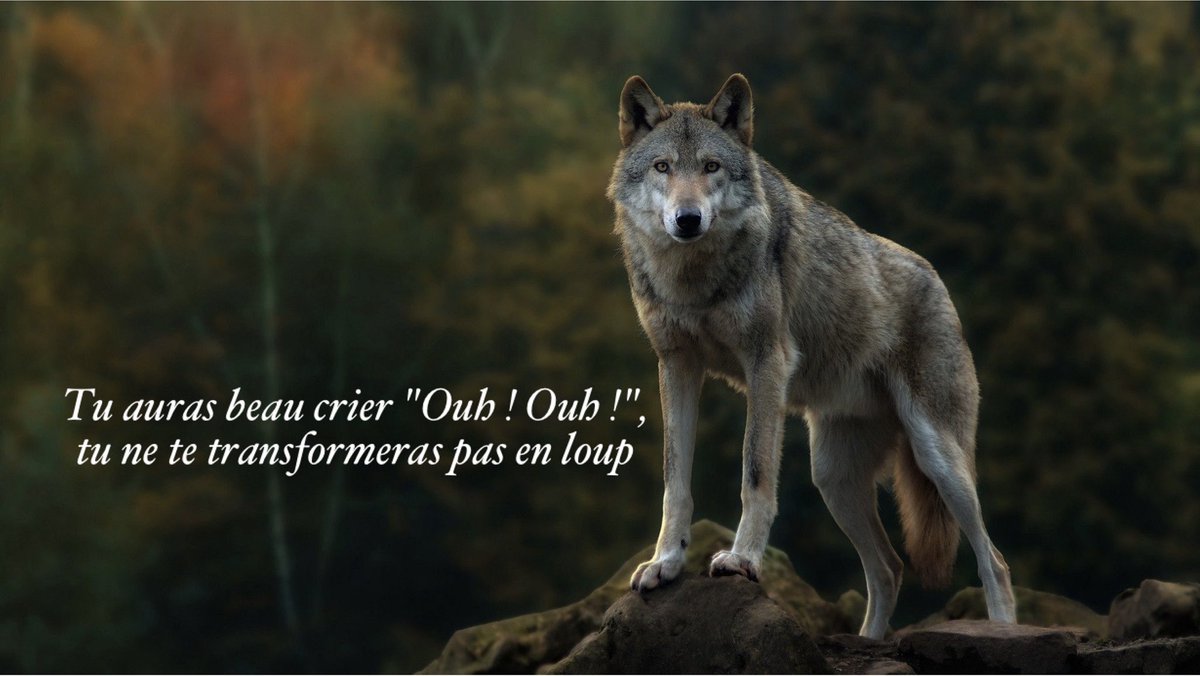 مثل فرنسي أعجبني، لم تسعفني حفيظتي باكتشاف قرينه العربي