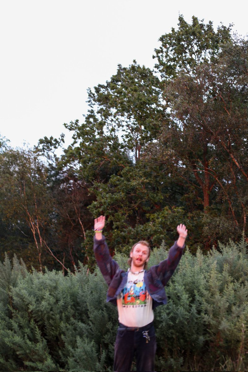 bearsintrees tweet picture