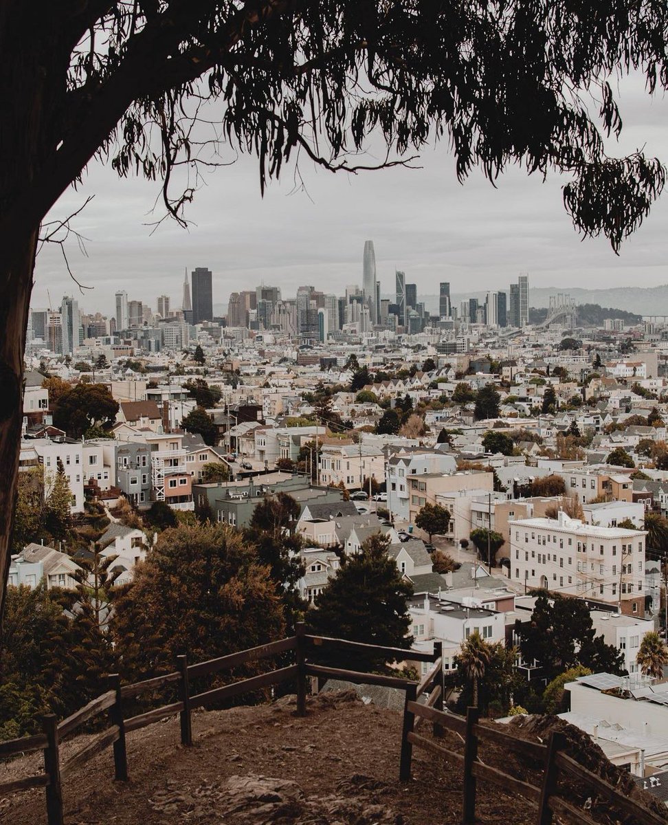 sanfranciscan__'s tweet photo. Literally, anywhere you go in SF you can always find a great view.

📸 : @zwhitephoto https://t.co/OYyS7ovW7d