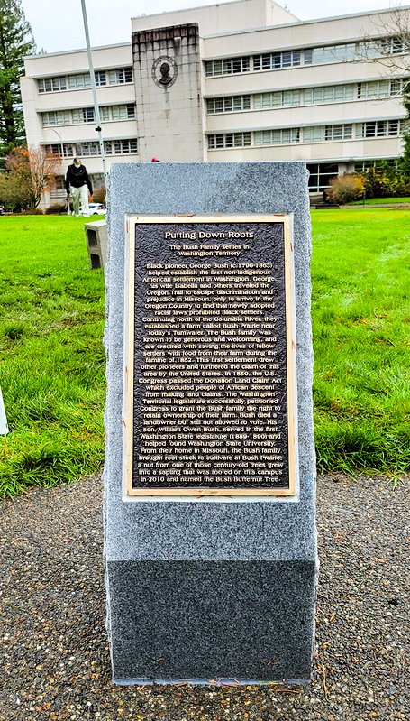 WaStateDES's tweet photo. The monument honoring Black pioneer George Bush and his family has been installed! More than 70 people braved the chilly weather on Nov. 19 to attend the official unveiling event. Learn more: https://t.co/oyWOg9KhoS

 #OlyCapitol #LoveOly #OlympiaWA #WaStateDES #WaStateCapitol https://t.co/tcVM2liY59