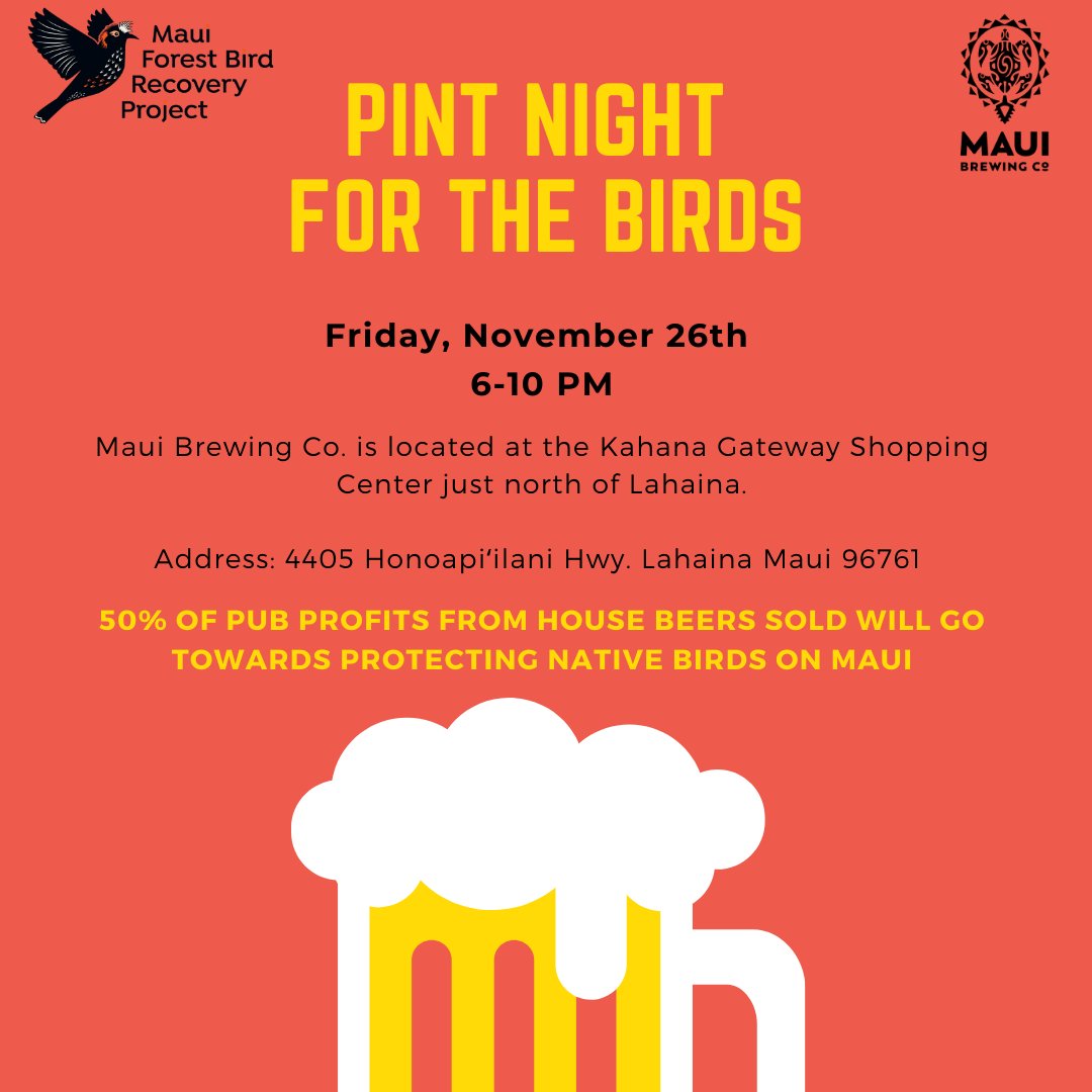 Come enjoy a pint with us and help Maui Forest Bird Conservation Project! Nov 26th from 6-10 pm at Maui Brewing Co in Lahaina.