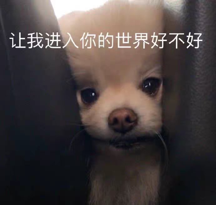 Fujian_s's tweet photo. @ECHONI0808 https://t.co/R0lP6910UY
