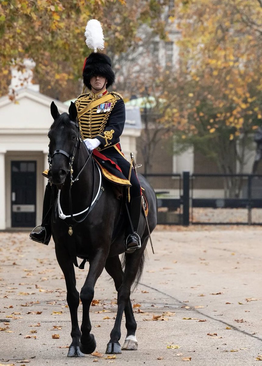 KingsTroopRHA's tweet photo. Parade Commander Capt O'dell setting the standards high on Sir Guy Spanker (aka Apollo) for the Prince Of Wales Birthday. #gunner #charger #paradecommander #kingstroop #salute #41gunsalute #royalsalute https://t.co/WIjOhwrxt3