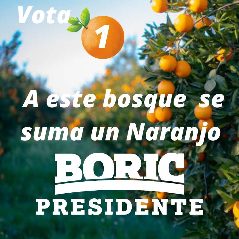 diputadonaranjo's tweet photo. La única condición que debiéramos tener todos los demócratas, para ponernos a disposición de nuestro candidato presidencial @gabrielboric , es defender lo que se ha avanzado en derechos para todos/as, mejorar la calidad de vida,más seguridad Pública, mejores empleos 🌳 ✊♥️ https://t.co/tNhJnAEVlb