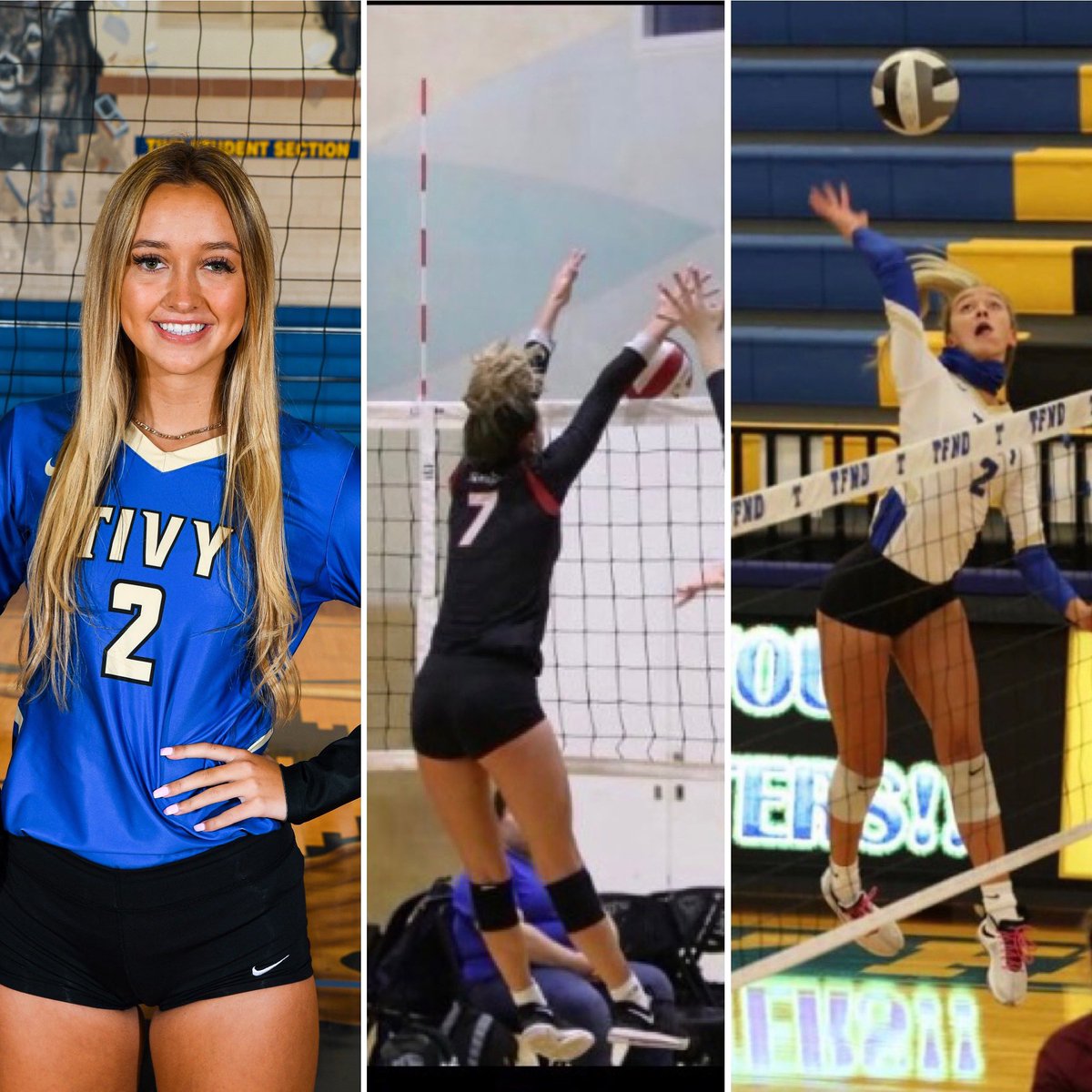 Alamo Volleyball tweet media