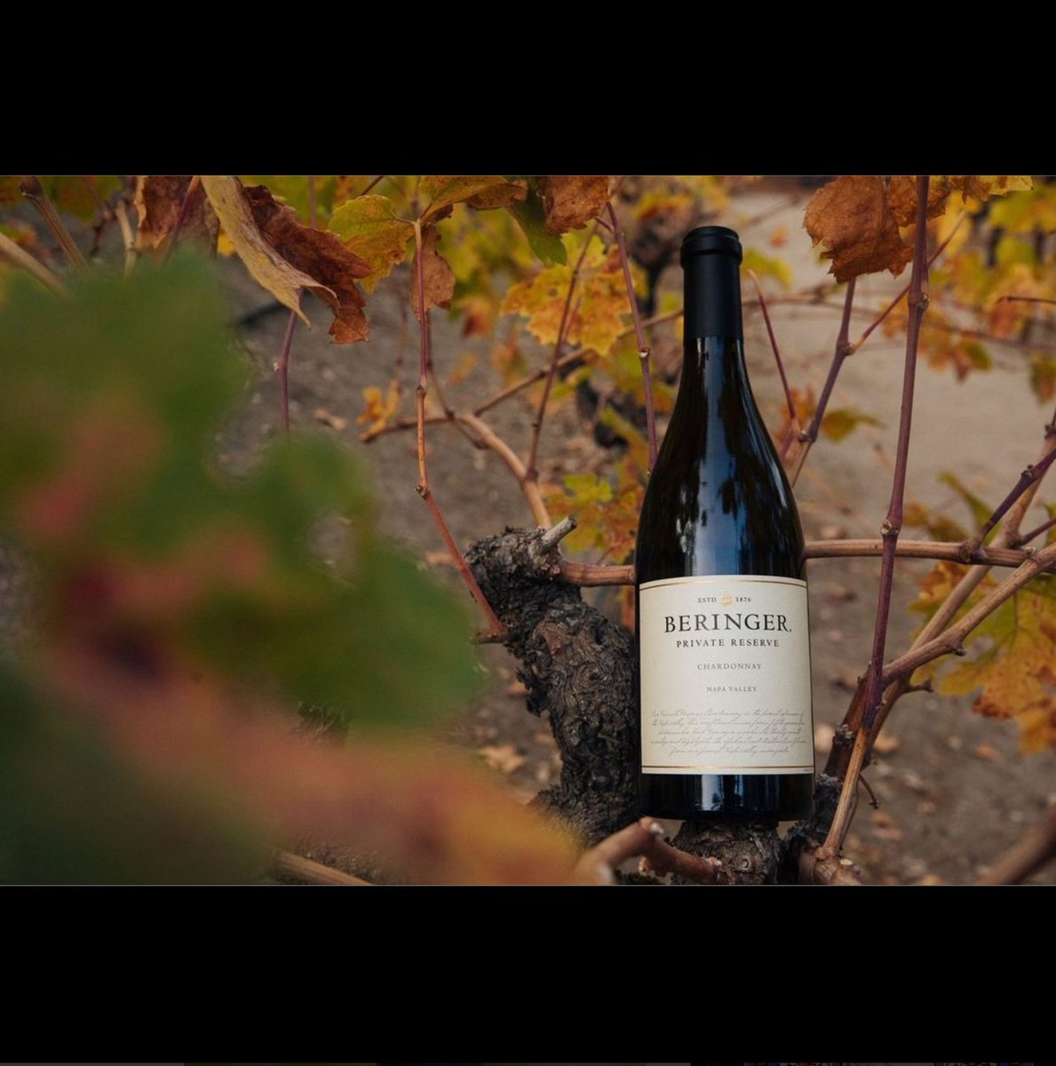 ASHNapa's tweet image. Beringer Vineyards 2019 Private Reserve #Chardonnay receives #95points from @james.suckling: “Aromas of cooked apple, mango, lemon curd, praline &amp;amp; toffee...full-bodied with crisp acidity &amp;amp; a dense, creamy texture... Rich &amp;amp; generous...Drink or hold.” 

l8r.it/qQXR