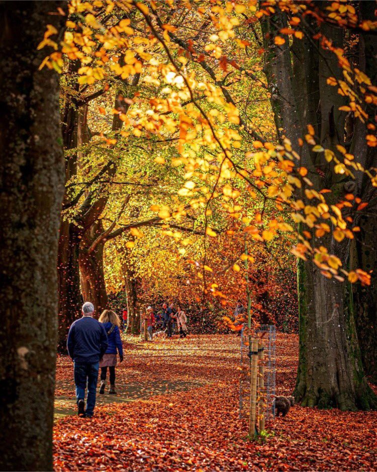 CliftonVillage's tweet photo. 🍂Soak up the rest of Autumn in Clifton Village🍁
Thank you @chrshill for the 📸
#discoverclifton #cliftonvillage #cliftonbid #visitclifton #supportclifton #shopcliftonvillage #visitbristol #cliftonsuspensionbridge #brunel #bristol #bristolblogger #lovebristol #explorebristol https://t.co/xsNC9f2NEC