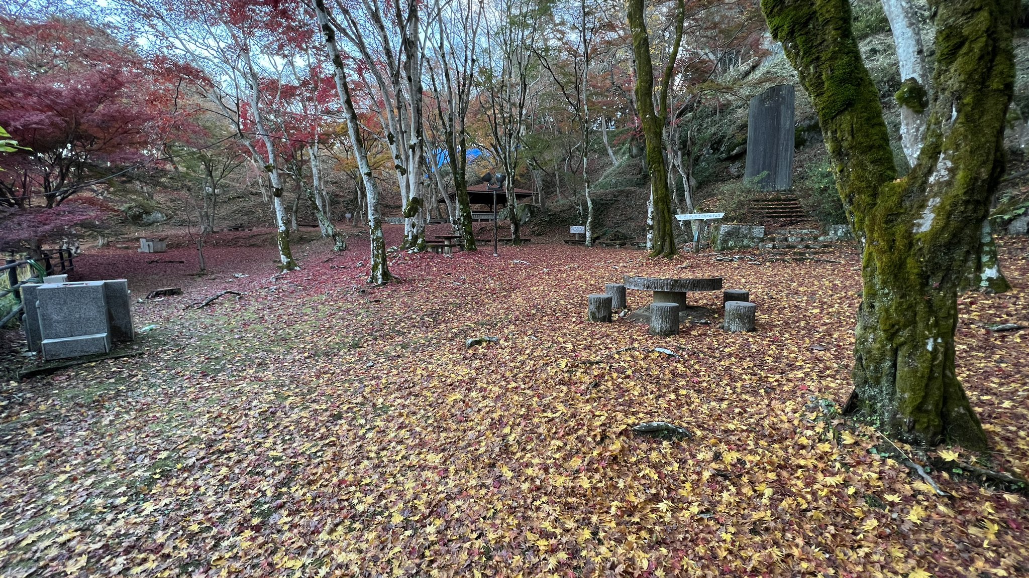 笠置町商工会観光部会 Kankoukasagi Twitter
