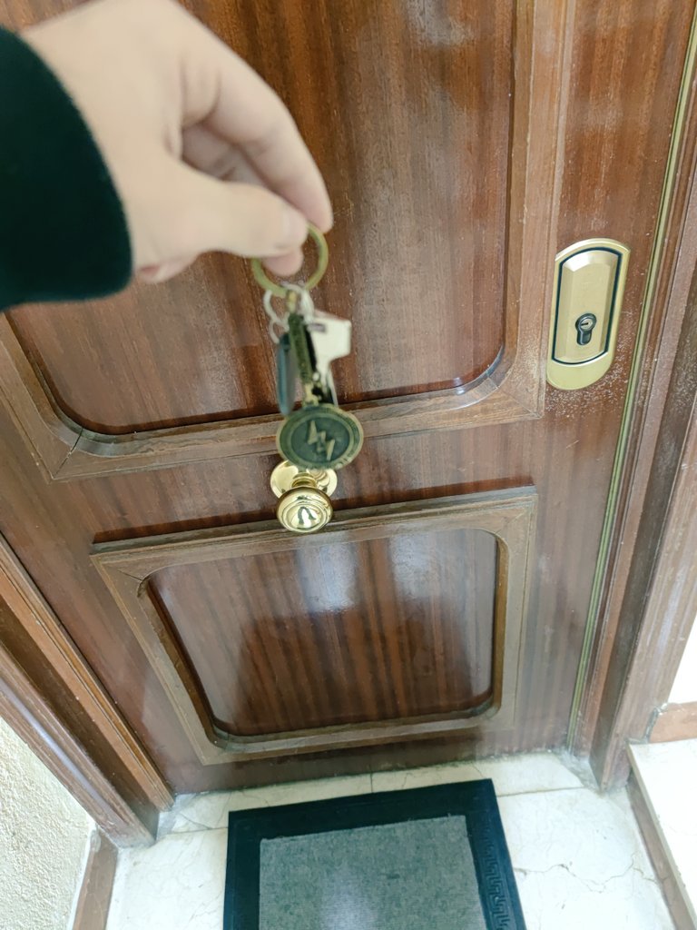 ®️oro🐾 tweet media