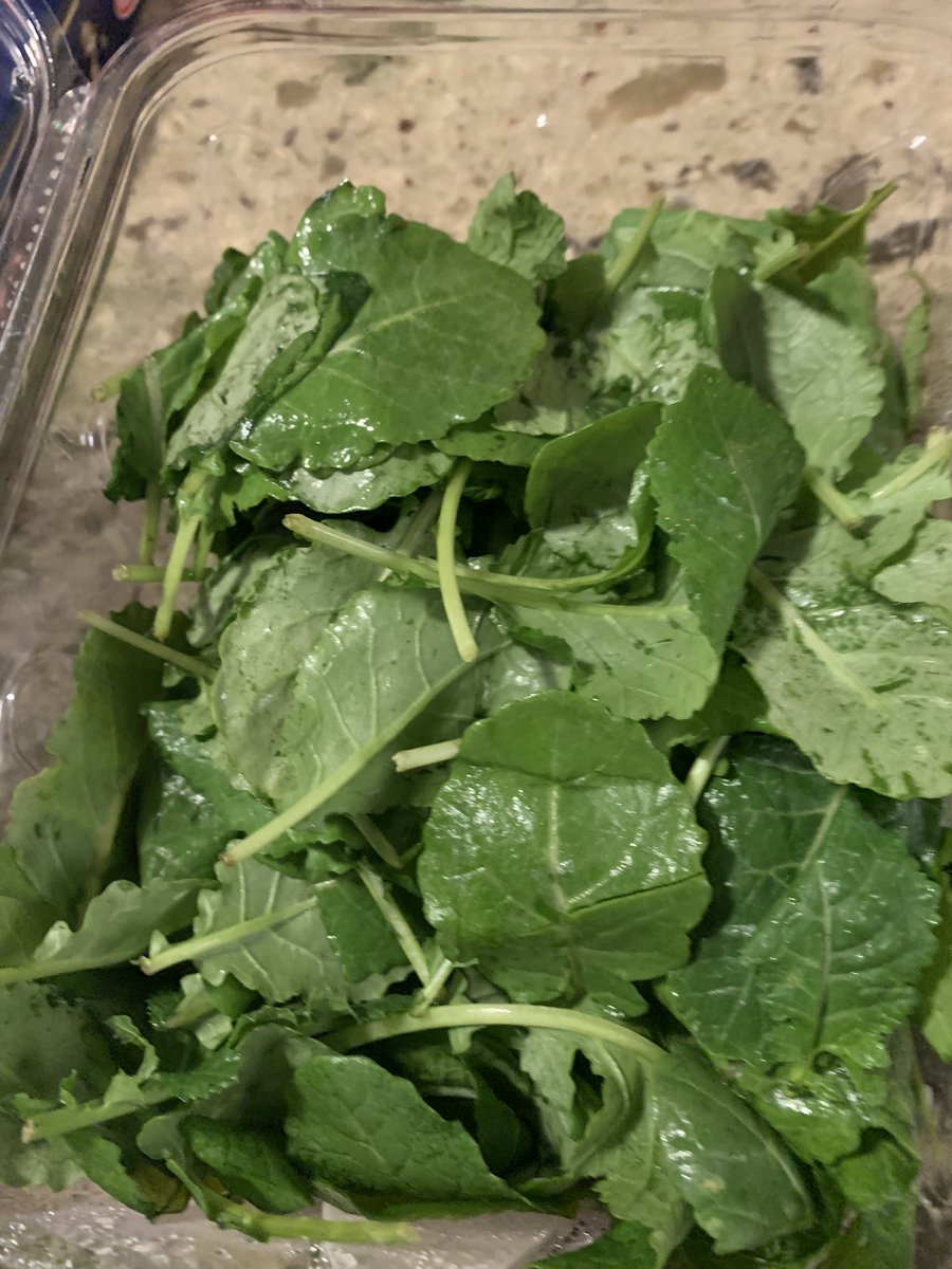 meghanbdoherty's tweet photo. @Hannaford just bought this kale on Friday. Expiration date is 11/25. It’s already slimy. How do I go about getting a refund? https://t.co/QmfhWJR68o