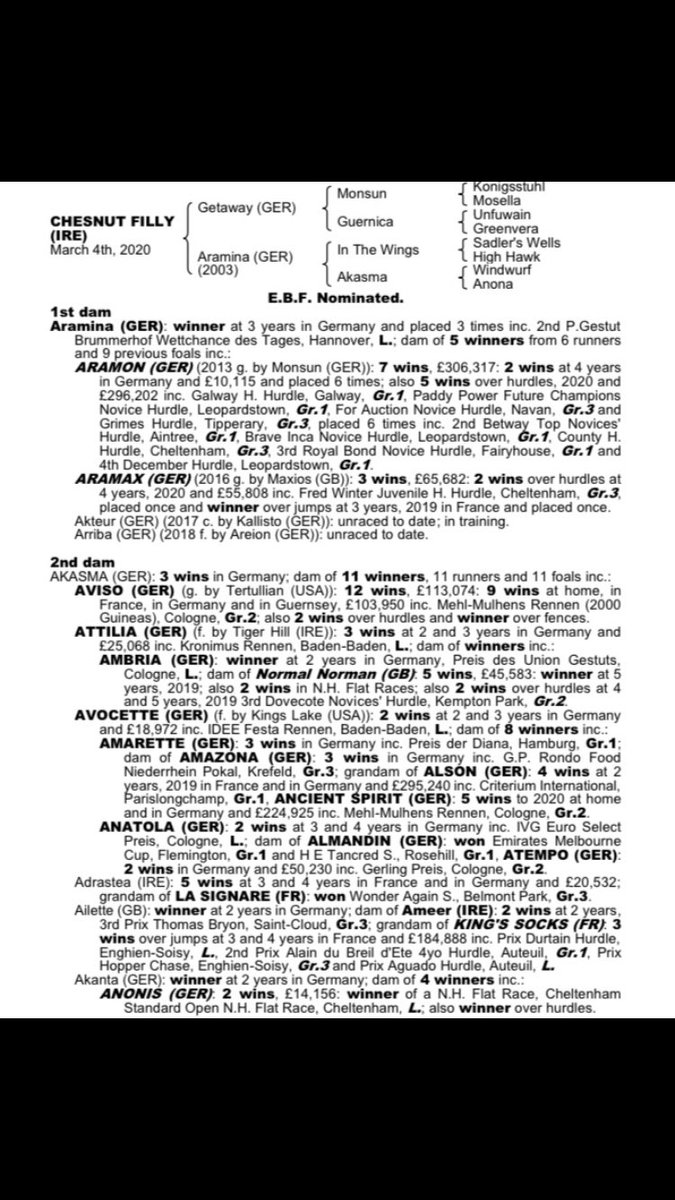 bridgebuachaill's tweet image. Our @coolmorestud getaway filly enjoying the last of the winter grass, before being tucked away for the winter. An exciting pedigree, she’s a H/S to #aramax #aramon and also related to Melbourne cup winner #almandin 🤞 #kilbeg #getaway #nh