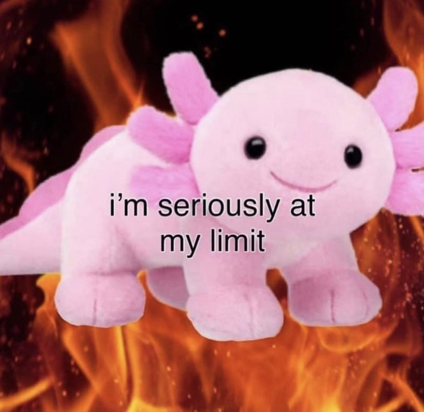 DREAMSUCKS tweet media