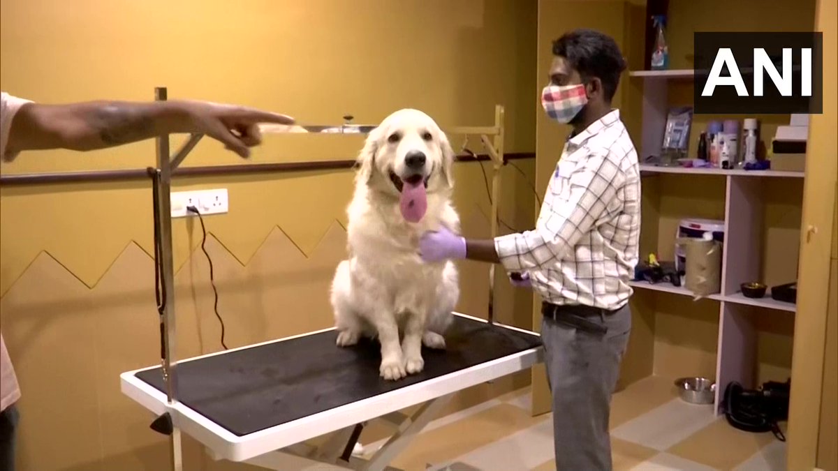 ANI's tweet photo. Ahmedabad | Shaival Desai, founder of BestBuds Pet Hospital, who lost his pet a year ago due to lack of facilities has now opened "a one-stop solution to everything related to pets - a non-profit vet hospital with fully equipped OT rooms and India's first animal vet ventilator." https://t.co/JGjPAhWb4u