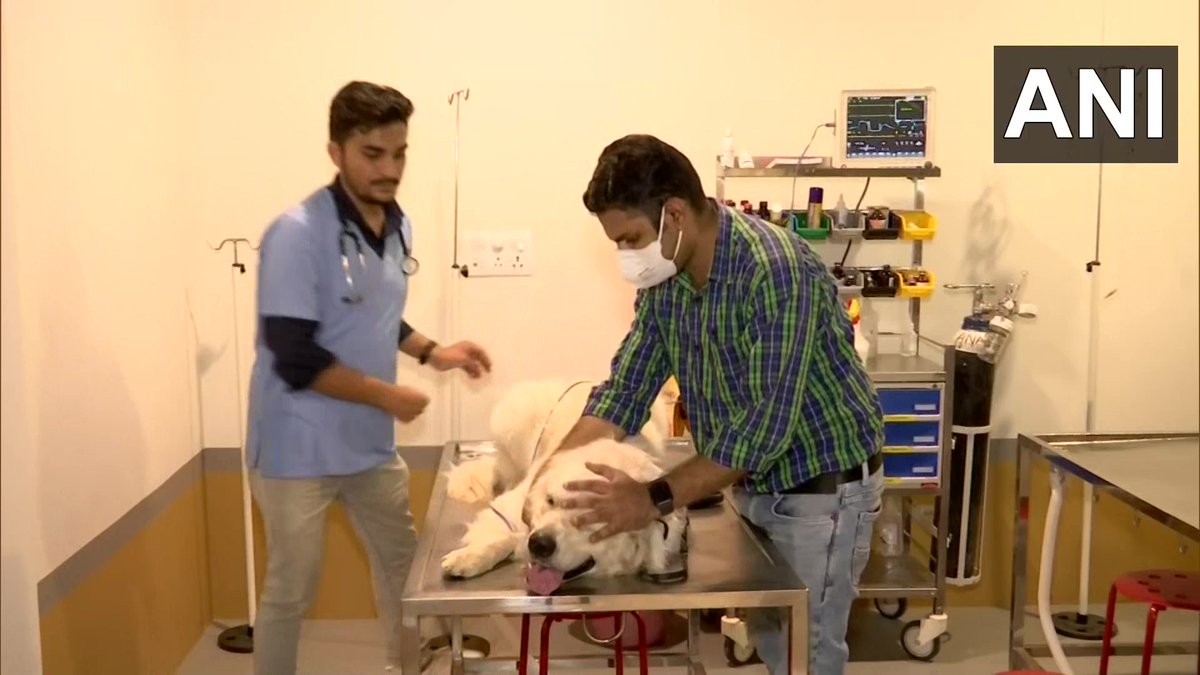 ANI's tweet photo. Ahmedabad | Shaival Desai, founder of BestBuds Pet Hospital, who lost his pet a year ago due to lack of facilities has now opened "a one-stop solution to everything related to pets - a non-profit vet hospital with fully equipped OT rooms and India's first animal vet ventilator." https://t.co/JGjPAhWb4u