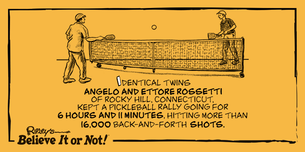 Is twin telepathy an unfair advantage? #Pickleball bit.ly/3nHDUVg