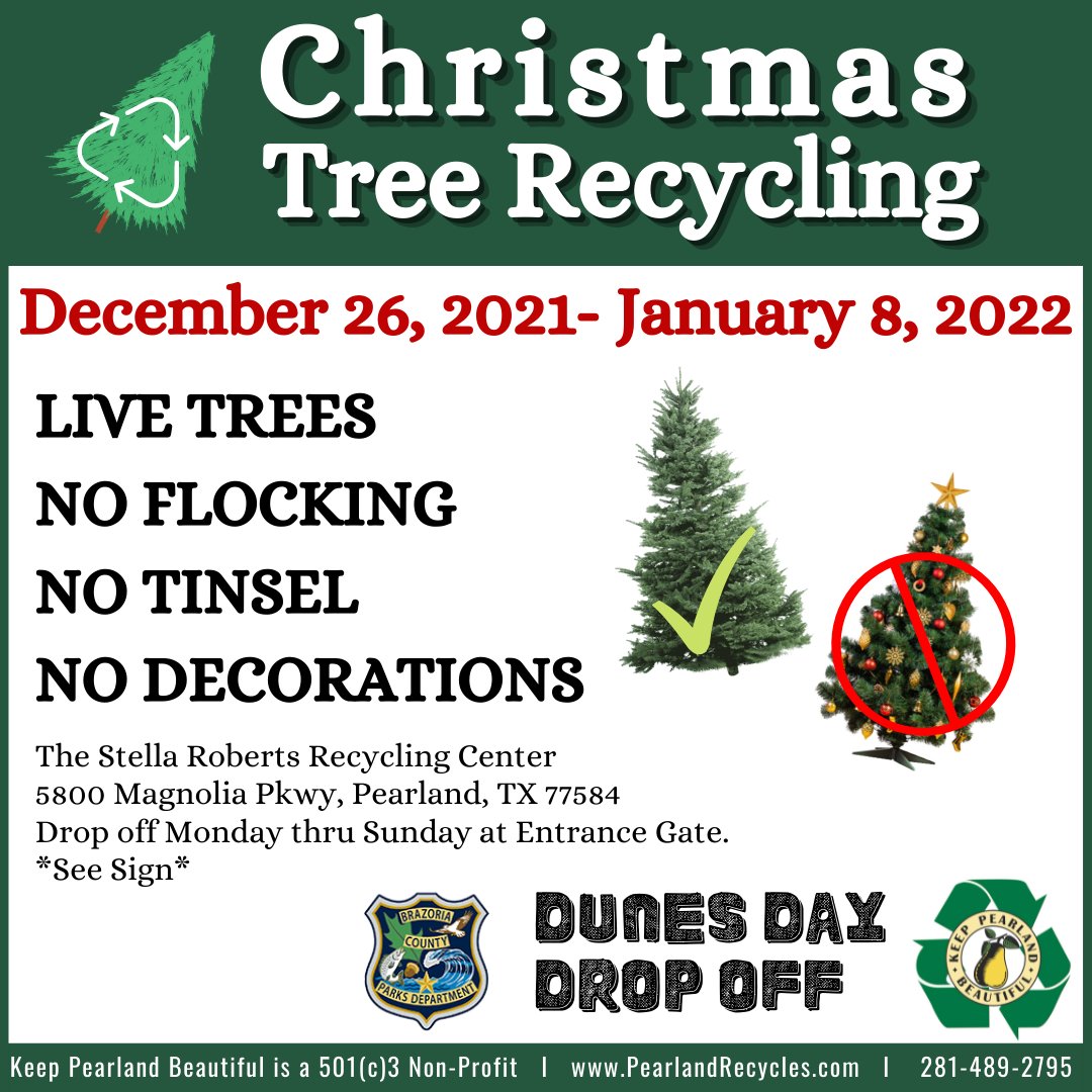 Pbs Christmas Tree Sales 2022 Keep Pearland Beautiful On Twitter: "♻️🌲Before You Buy A Live Christmas  Tree This Year Think About How You Want To Dispose Of It. The  Environmentally Responsible Thing Is To Keep The Tree