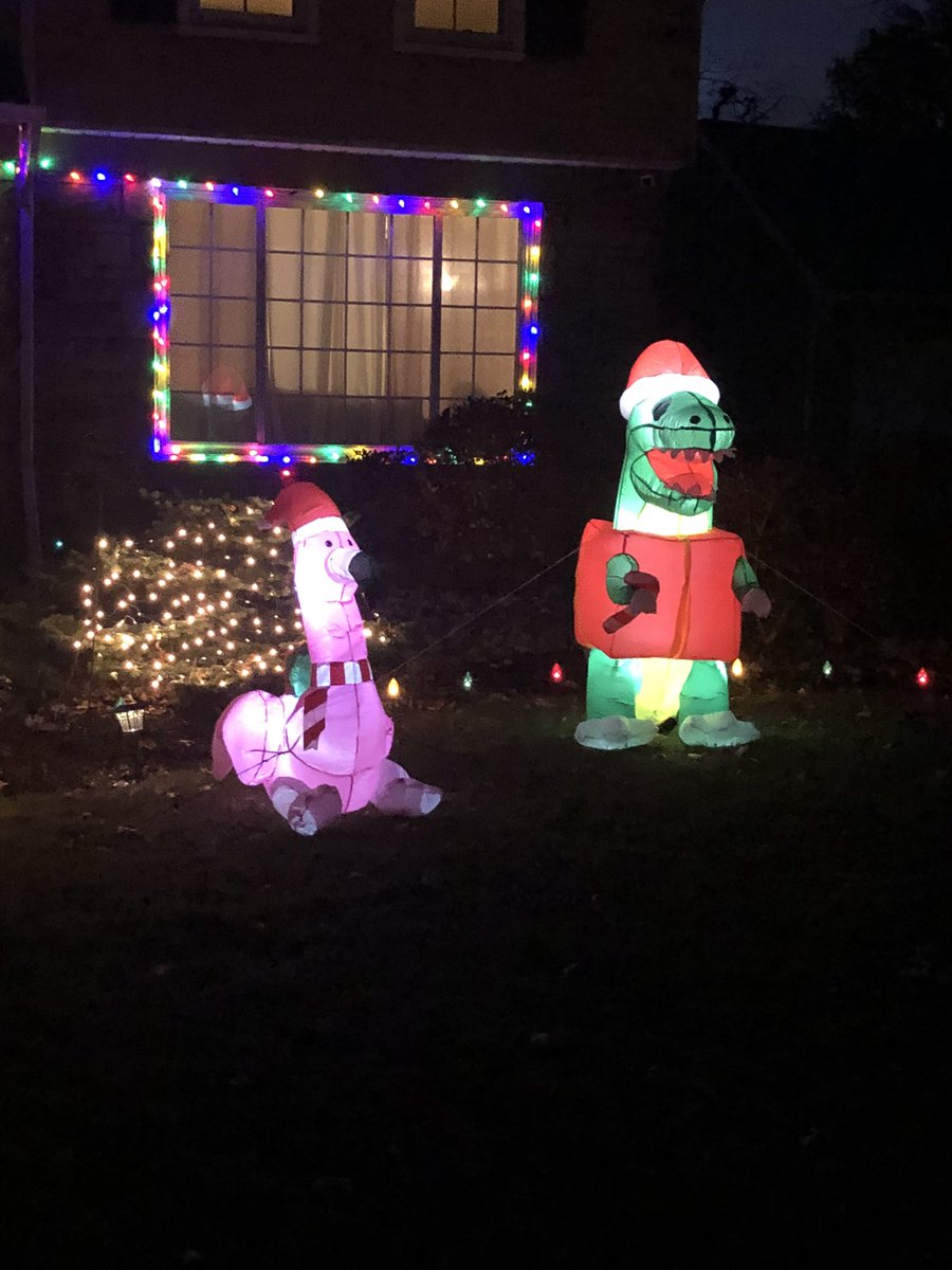 thedadhat216's tweet photo. Xmas 🎄 has officially begun in the Rivera household. #trexxmas #flamingoxmas. https://t.co/kpLsfK5Zmz