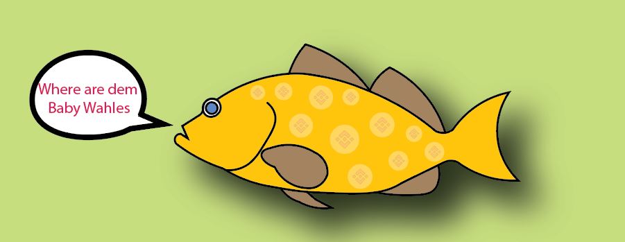 BabyWahle's tweet photo. 🐳 Baby Wahles are getting bigger-stay tuned for updates.🐳#nft #NFTCommmunity #Binance #Blockchain #nftcollectors #NBA75 https://t.co/sNYZobVXCT