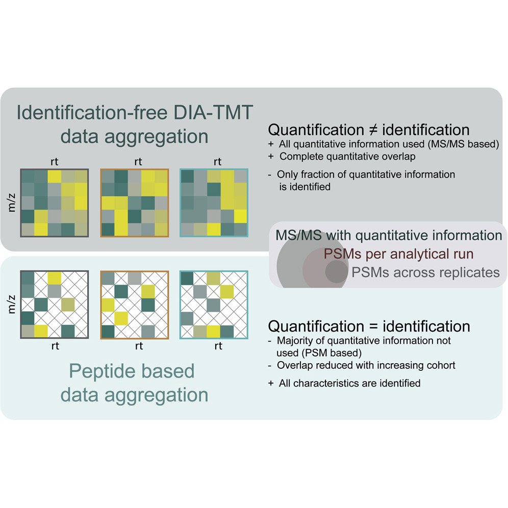 Ctortecka et al.'s data establish a novel and reproducible approach to markedly expand the numbers of proteins one detects from ultra-low input samples — @BOKUvienna @IMBA_Vienna @viennabiocenter @ClaudiaCtor @MendjanLab mcponline.org/article/S1535-…