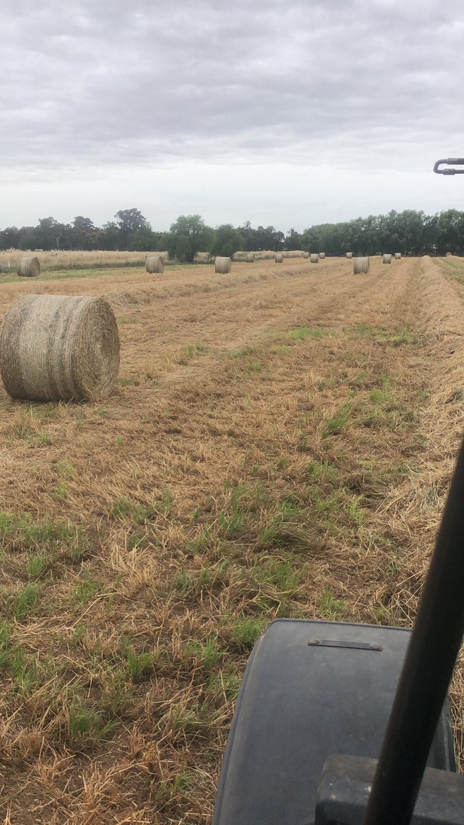 When you cart hay in from the paddock:                                                   Are you a closest bale first or furtherest bale first kind of operator?