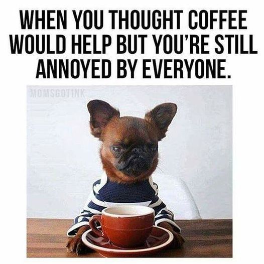 pinkmooncoffee's tweet photo. It really do be like that sometimes 🤦♀️☕
#highlyunstable #coffeetime #ineedmycoffee #pinkmooncoffee https://t.co/ljaoNnvJ3p