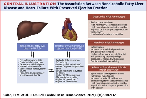 FudimMarat's tweet photo. Can NAFLD drive some HFpEF phenotypes? Check out our review in @JACCJournals in which we propose 3 NAFLD-related HFpEF phenotypes: obstructive HFpEF, metabolic HFpEF/NAFLD, and advanced liver disease/cirrhosis HFpEF.
https://t.co/vhd2WdbkmU https://t.co/jPnepZ6eLU