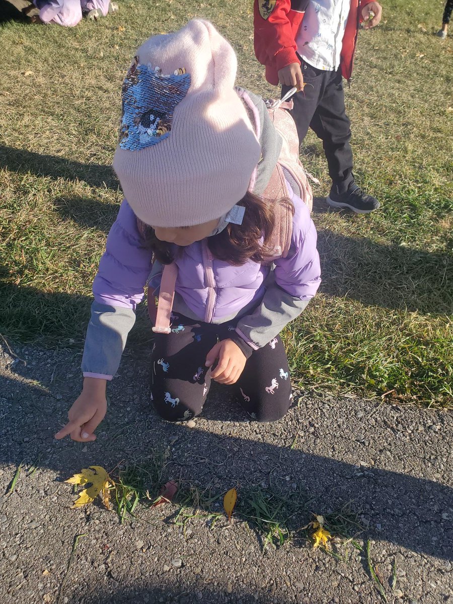In FI Kindergarten students <a href="/EastLakeRVS/">East Lake School</a>  have been working hard this fall to learn how to count and to match numerals and number words to objects. Un, deux, trois... Students this age are primed to learn a second language and it is amazing to watch the progress! <a href="/rvsed/">Rocky View Schools</a> #rvsed